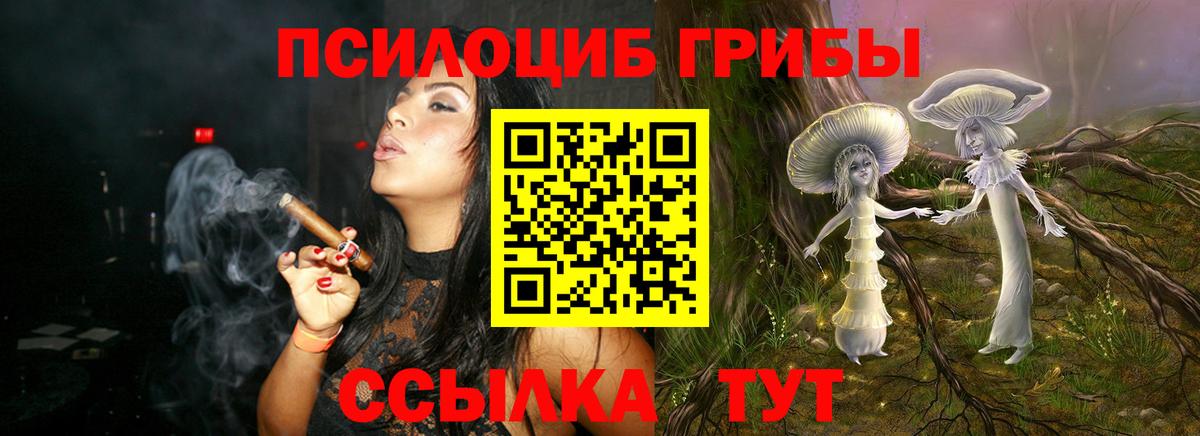 Шумерля  Псилоцибиновые грибы Cubensis  Вход с VPN 